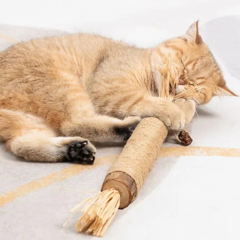Catnip Cat Toys Natural Matatabi Pet Cat Snacks Stick Cleans Tooth Removers Hair to Promote Digestion Silvervine Kitten Chew Toy